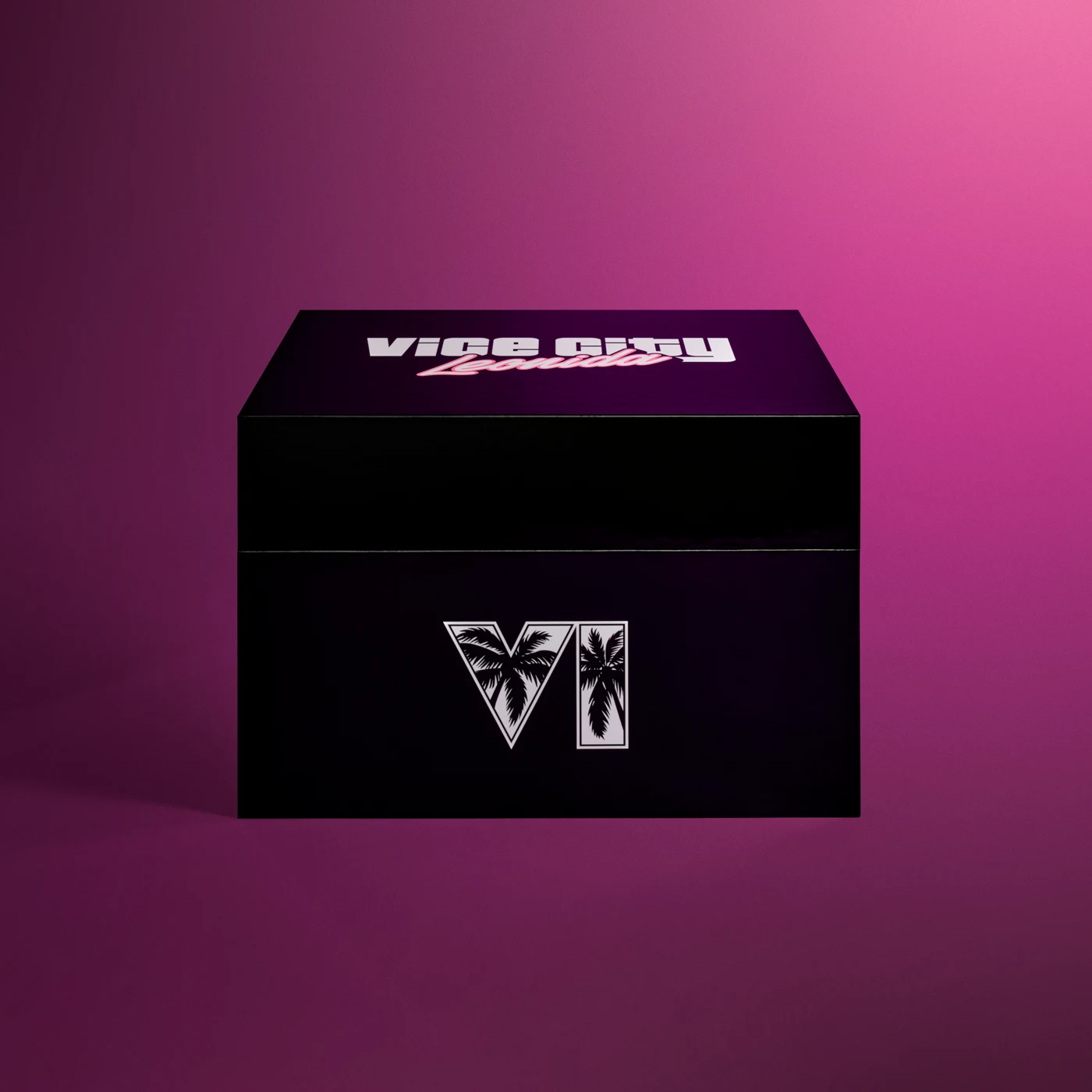 Vice City collector’s box, closed